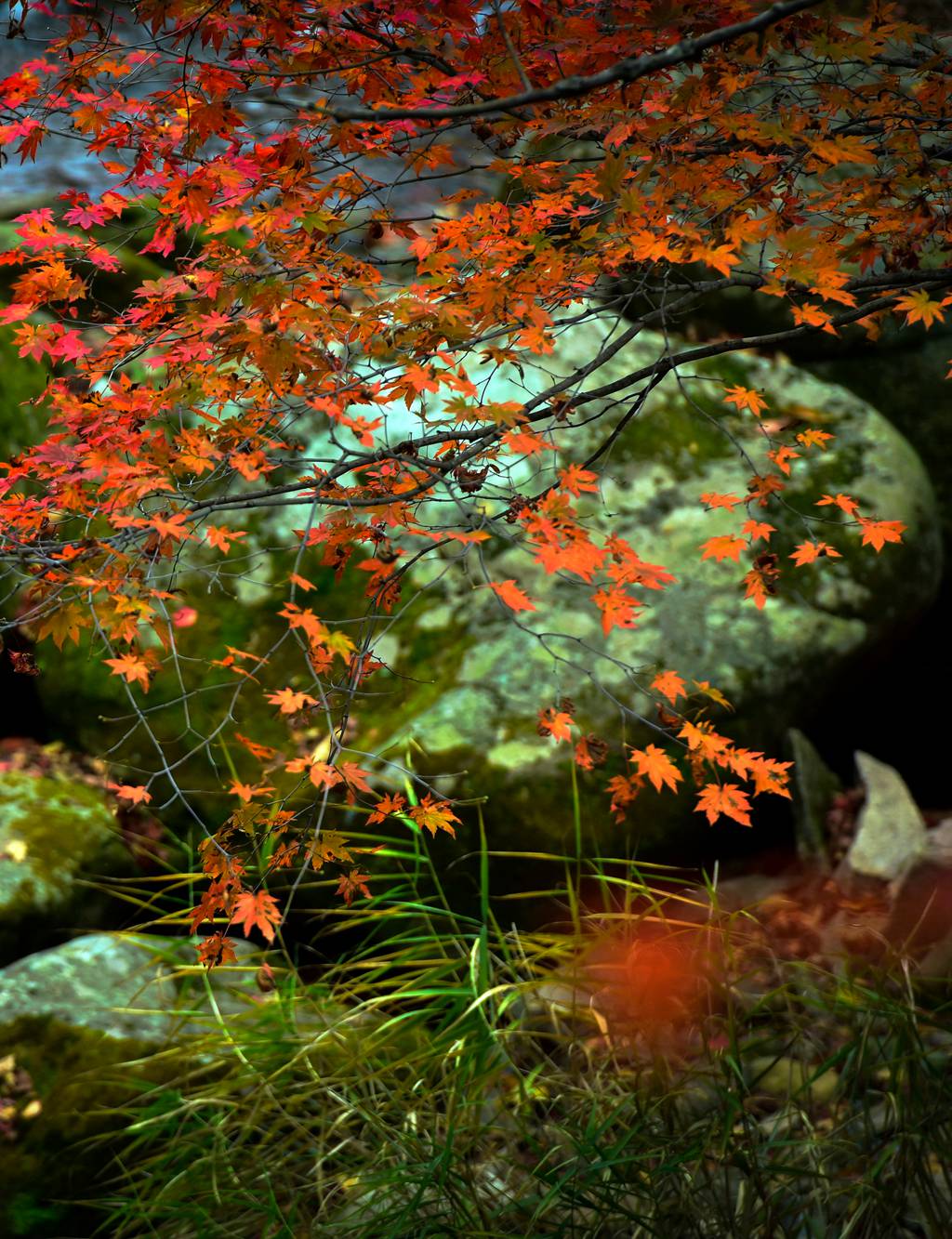 _DSC6211-2 - 副本.jpg