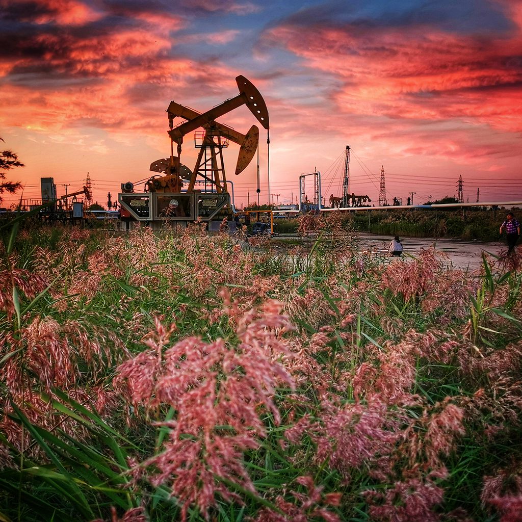 中原油田在八五三分公司第四管理区七作业站钻探石油、天然气-红兴隆北雁现代化农机