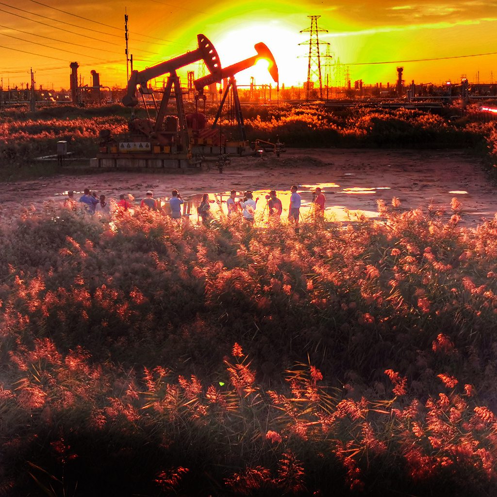 在工作的闲暇之余，中原油田一位职工拍摄了一组绝美的照片