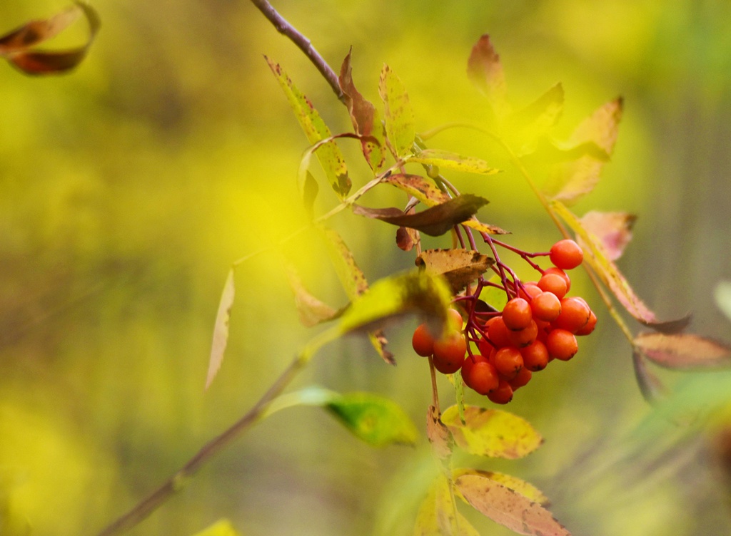 _DSC2816_副本.jpg _DSC2816_副本.jpg