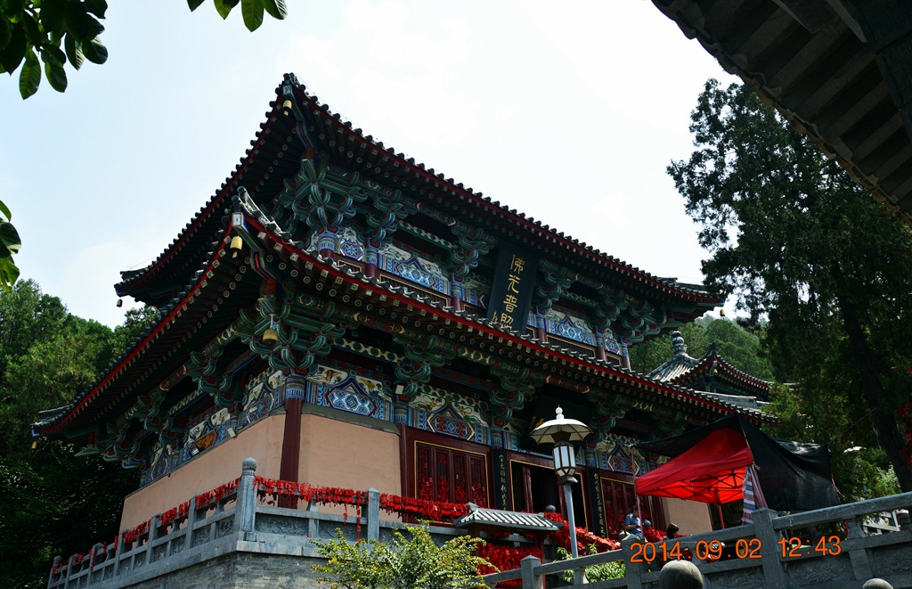 DSC_3229.jpg