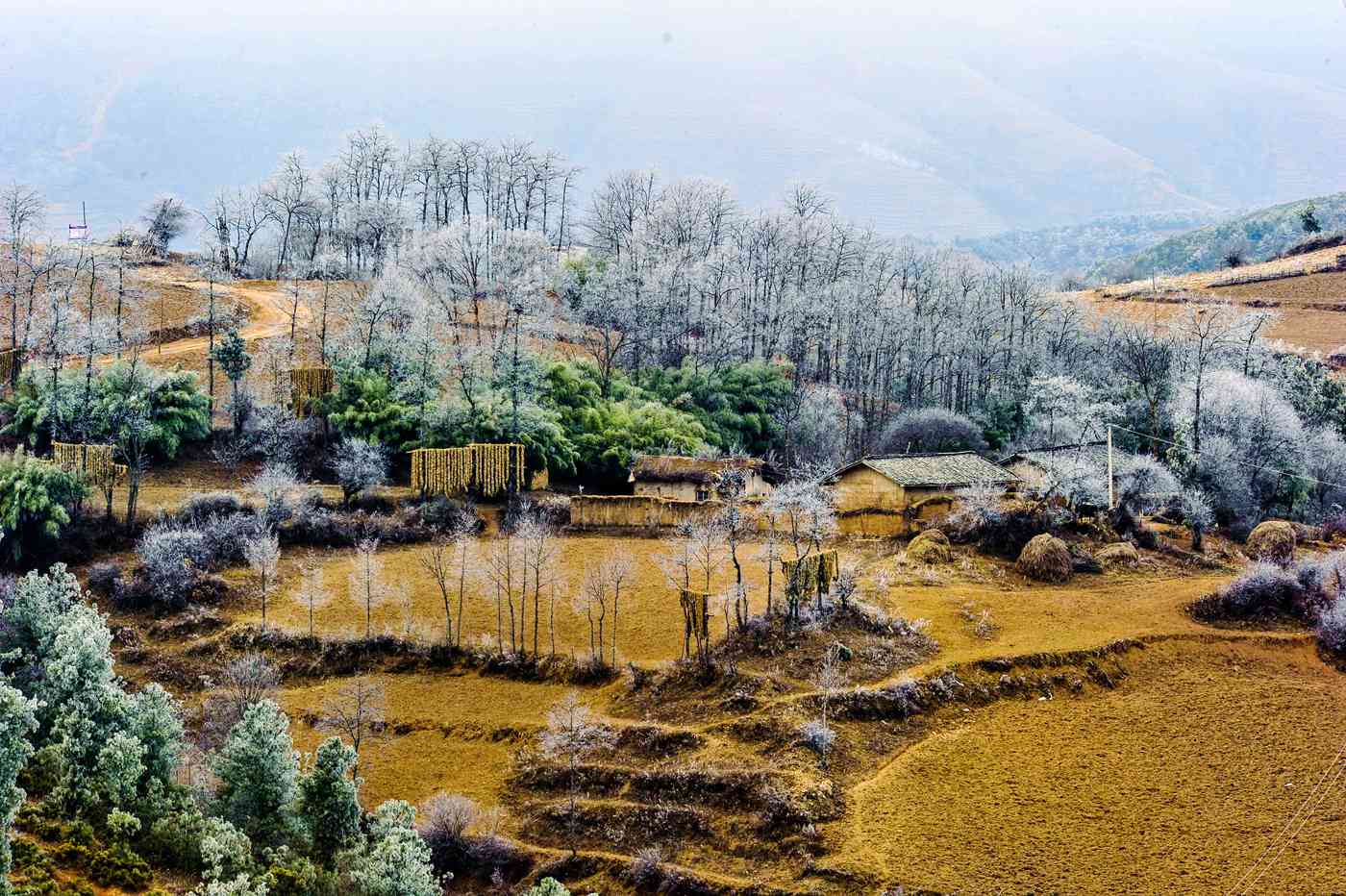 2020木里大寺-旅游攻略-门票-地址-问答-游记点评，西昌旅游旅游景点推荐-去哪儿攻略