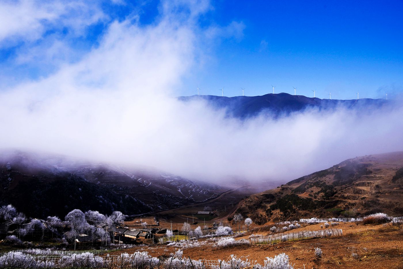 _DSC4875.jpg