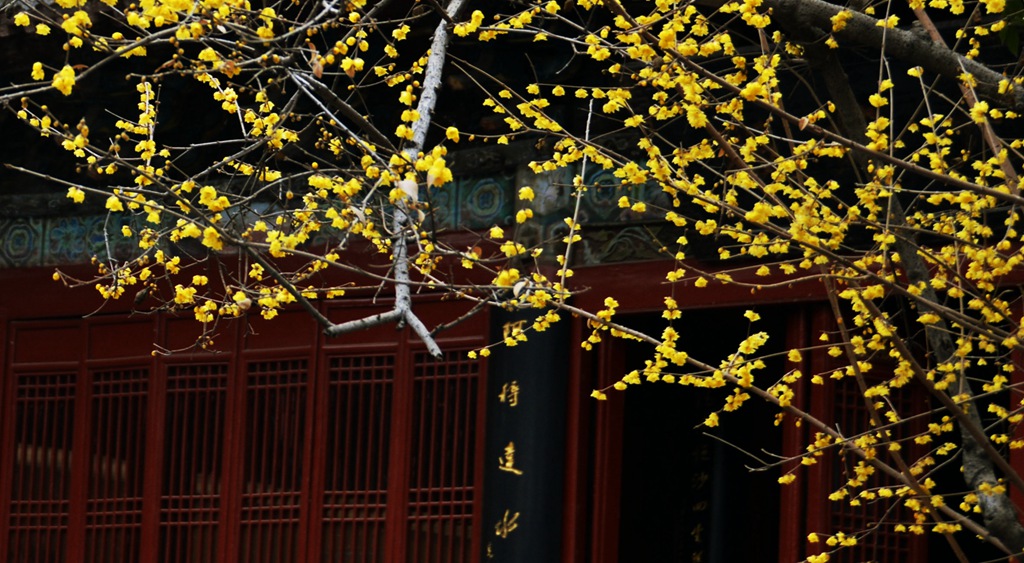 照片 184.jpg