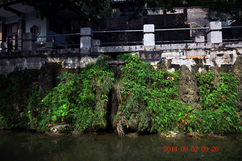DSC_3158.jpg