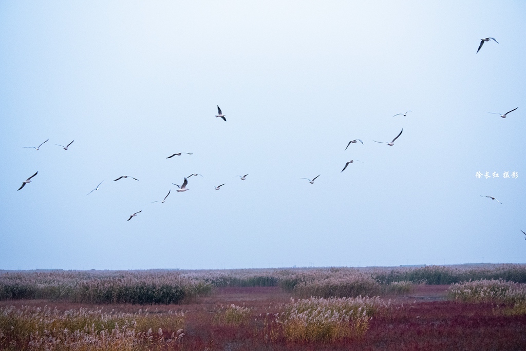 _DSC6674.jpg