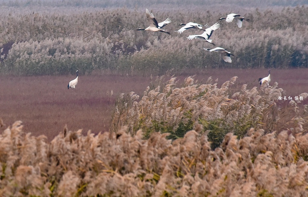 _DSC6866.jpg _DSC6866.jpg