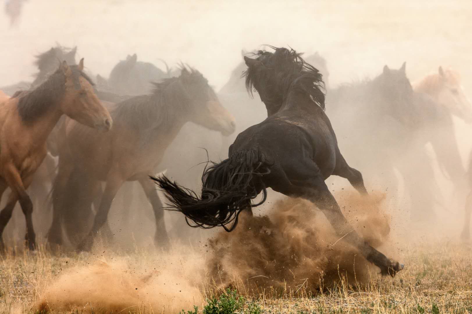 草原爱好者必去的五大草原，骑上一匹快马，奔驰在辽阔的草原上__凤凰网