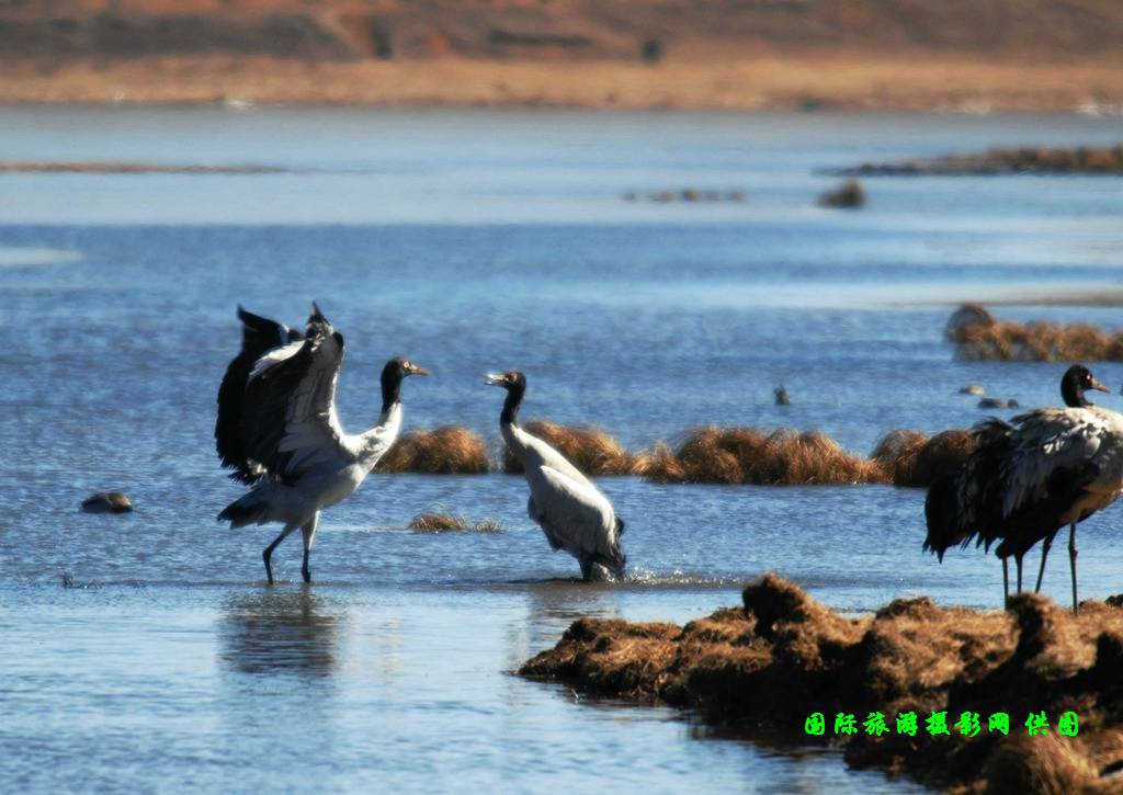 DSC_0714.jpg DSC_0714.jpg