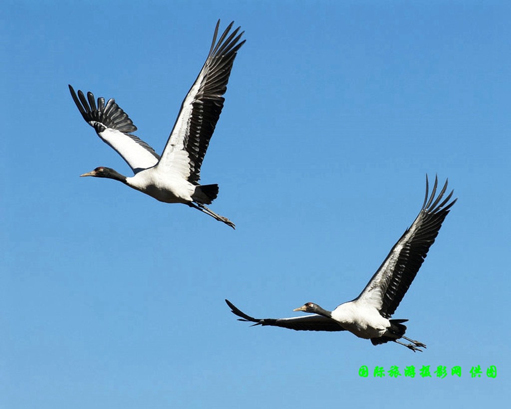 DSC_0964副本.jpg DSC_0964副本.jpg