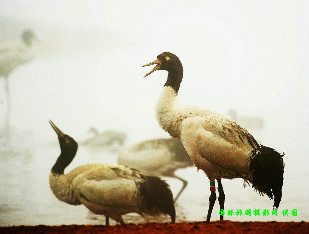 DSC_4702副本.jpg
