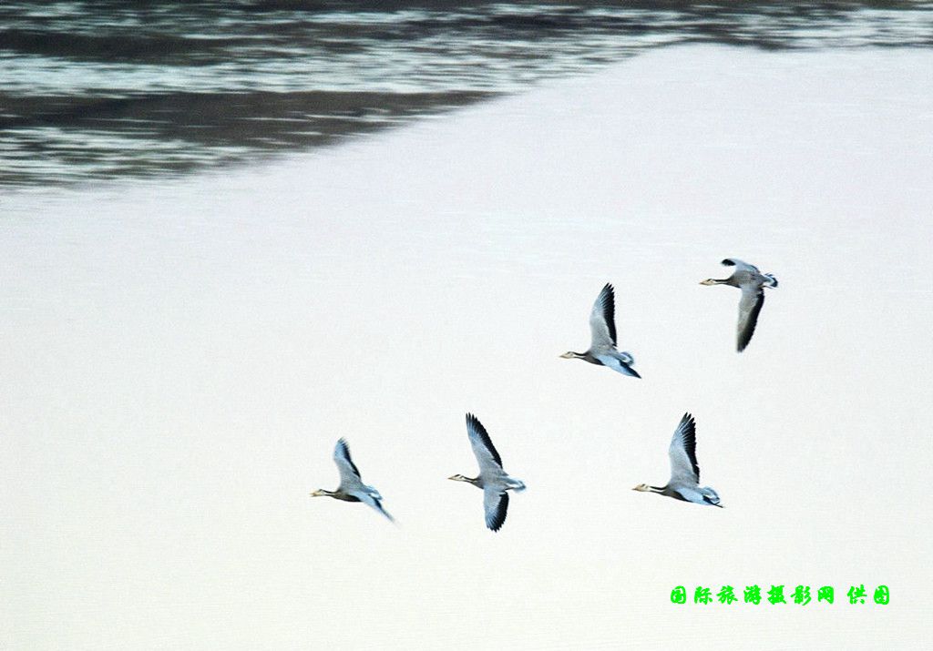 DSC_0258副本.jpg