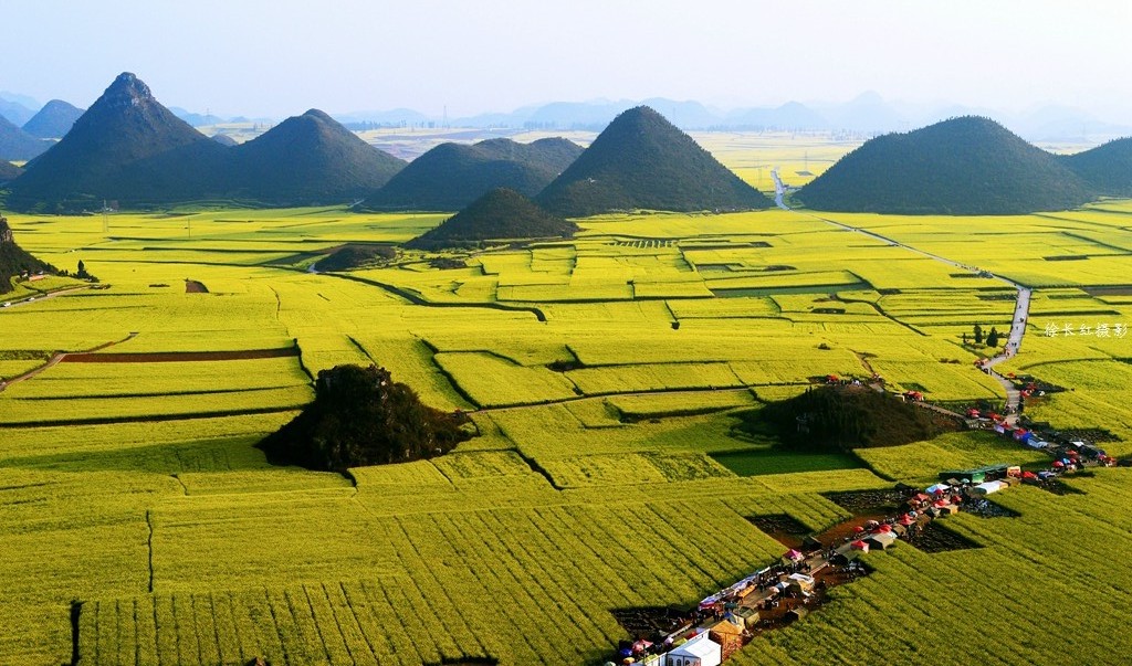 花海之路.jpg