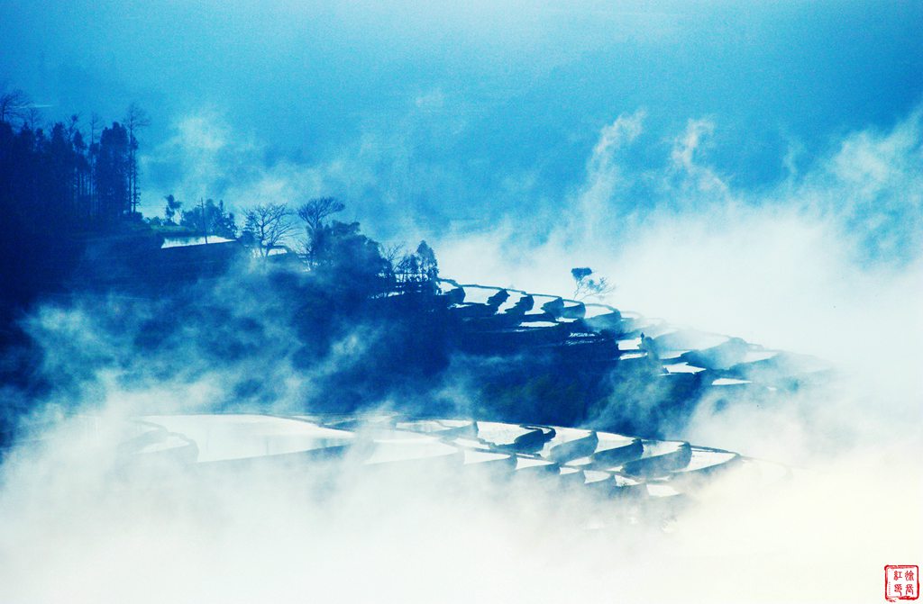 梦田.jpg