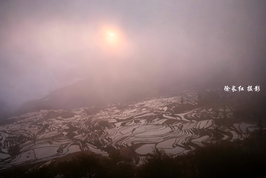 _DSC6638.jpg