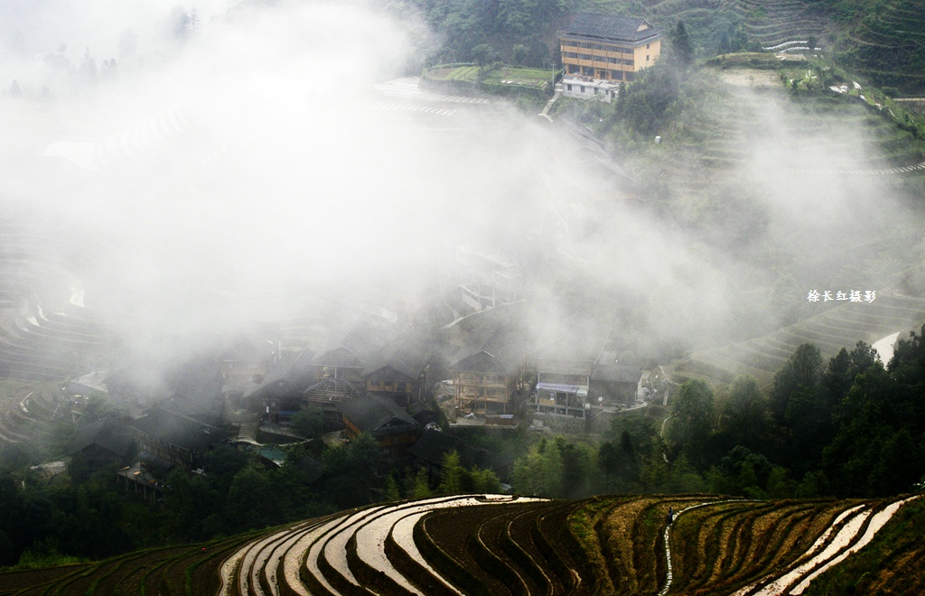 _DSC1170 副本.jpg
