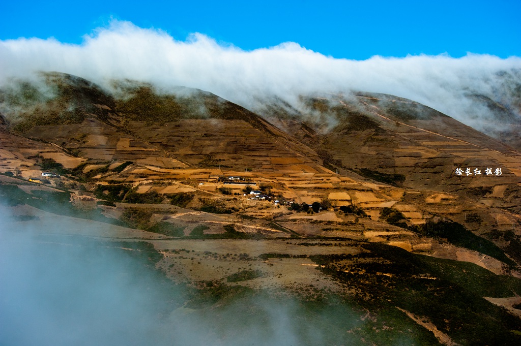 _DSC2306.jpg