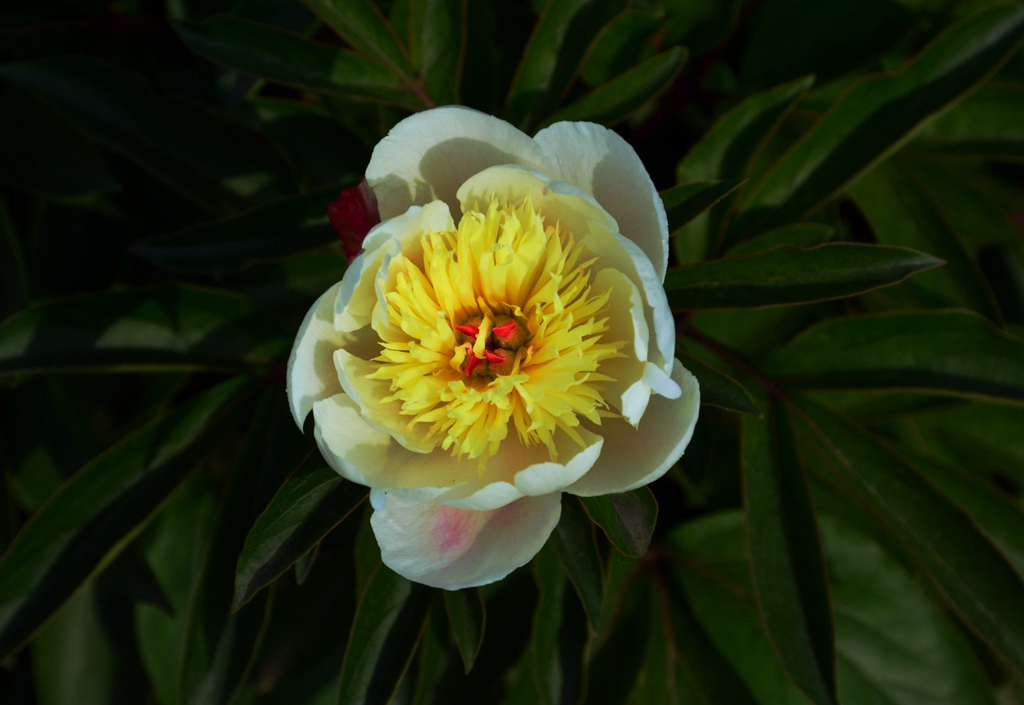 DSC_2152.jpg