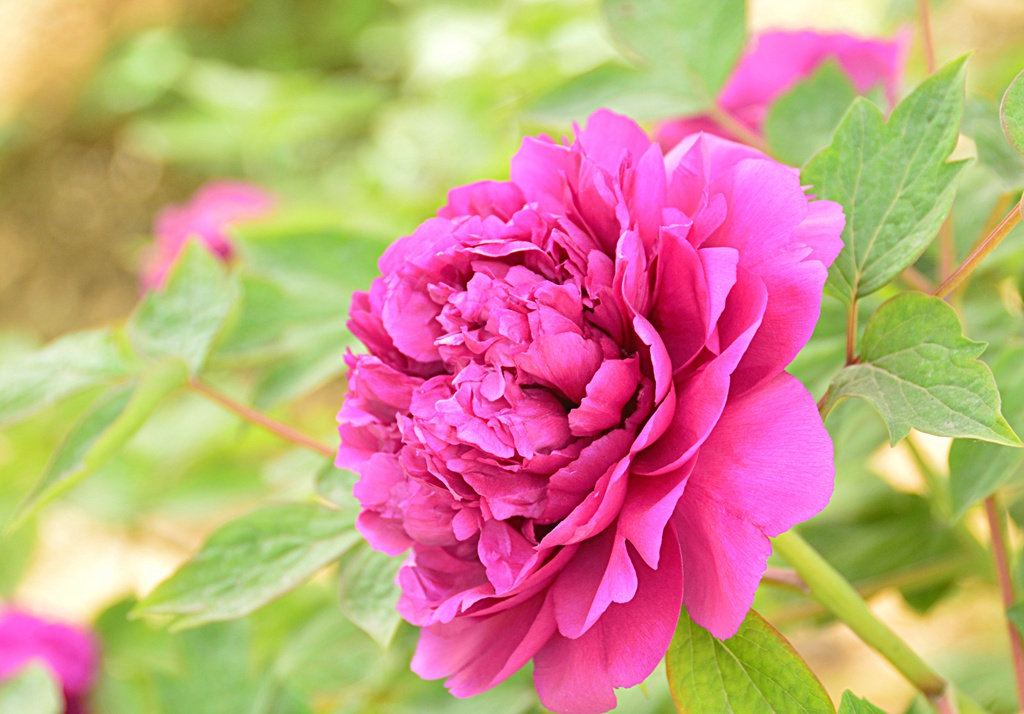 照片 066.jpg