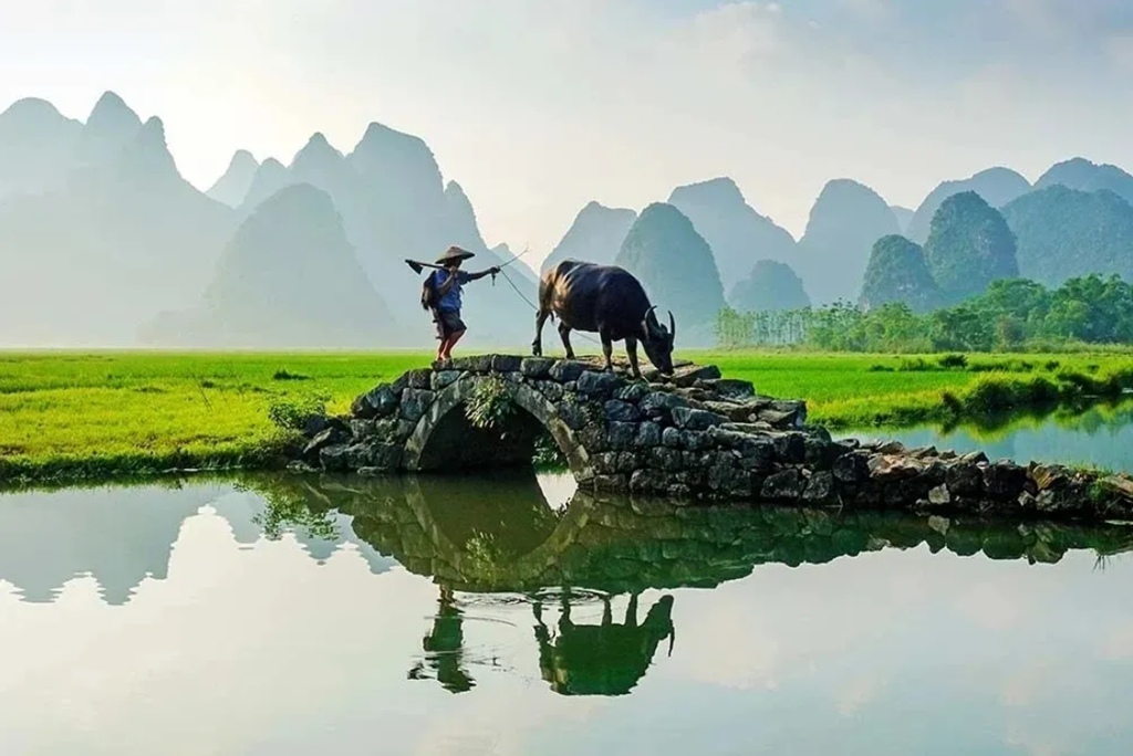QQ截图20210210220716.jpg