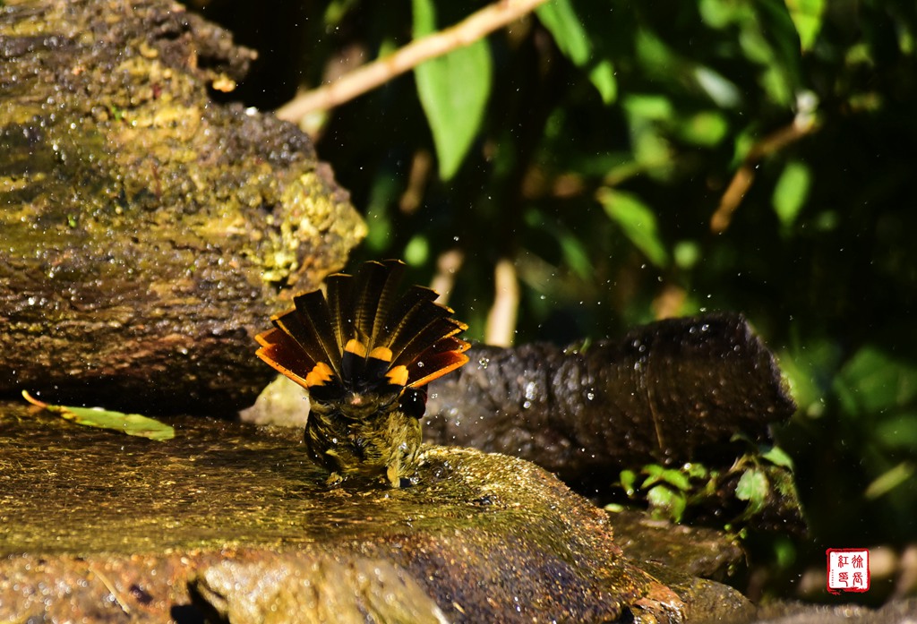 _DSC8997.jpg _DSC8997.jpg