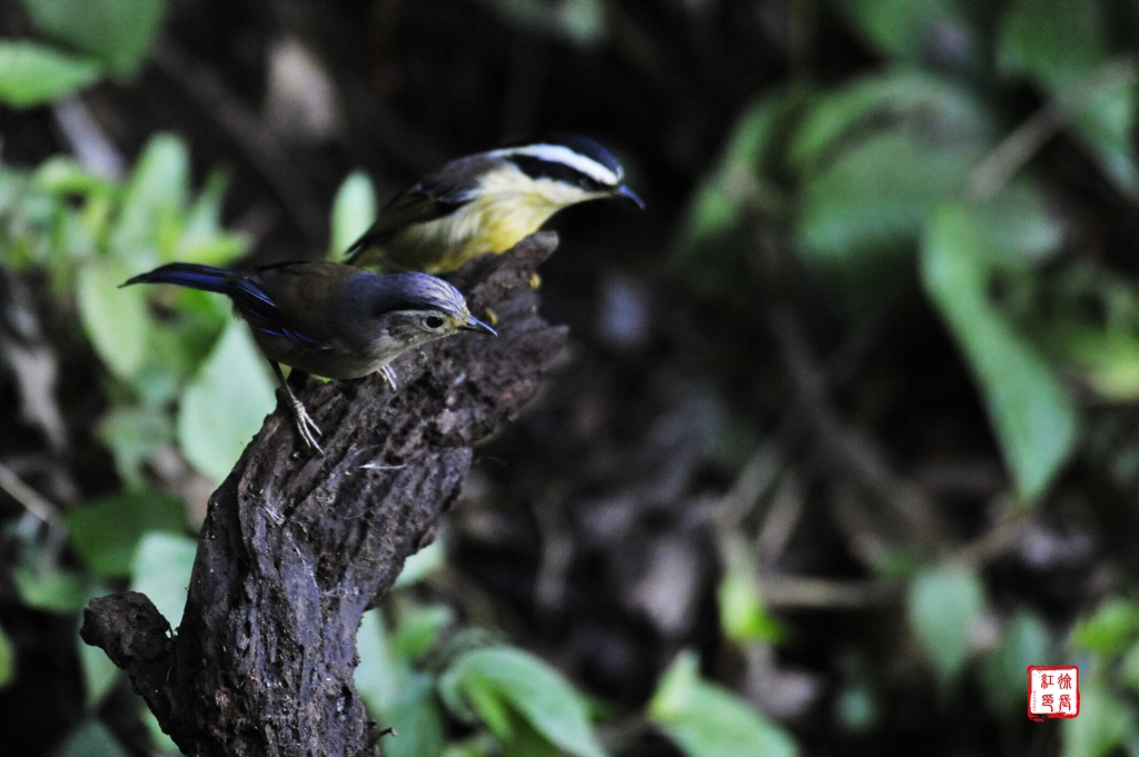 _DSC9467_副本.jpg _DSC9467_副本.jpg