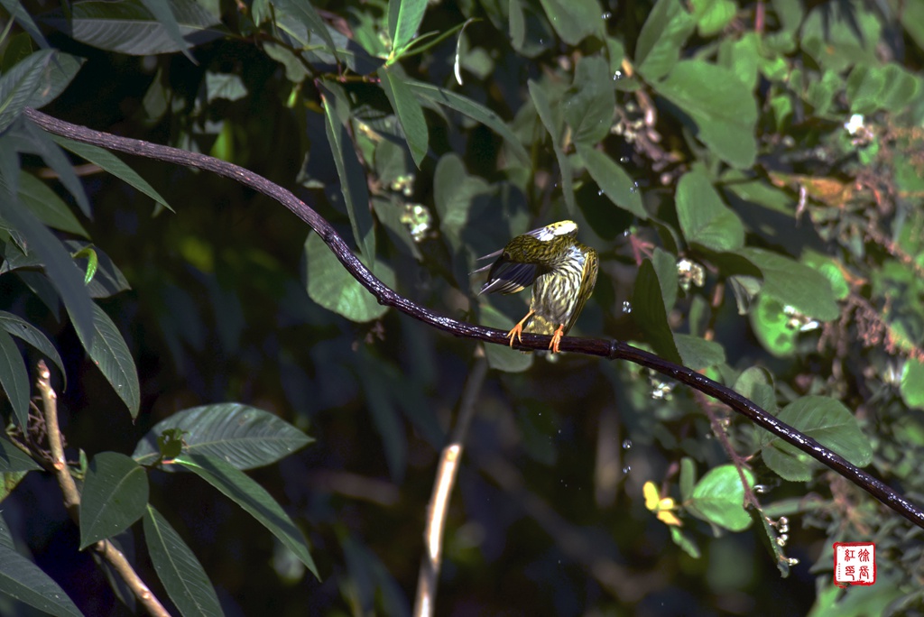 _DSC8404.jpg _DSC8404.jpg