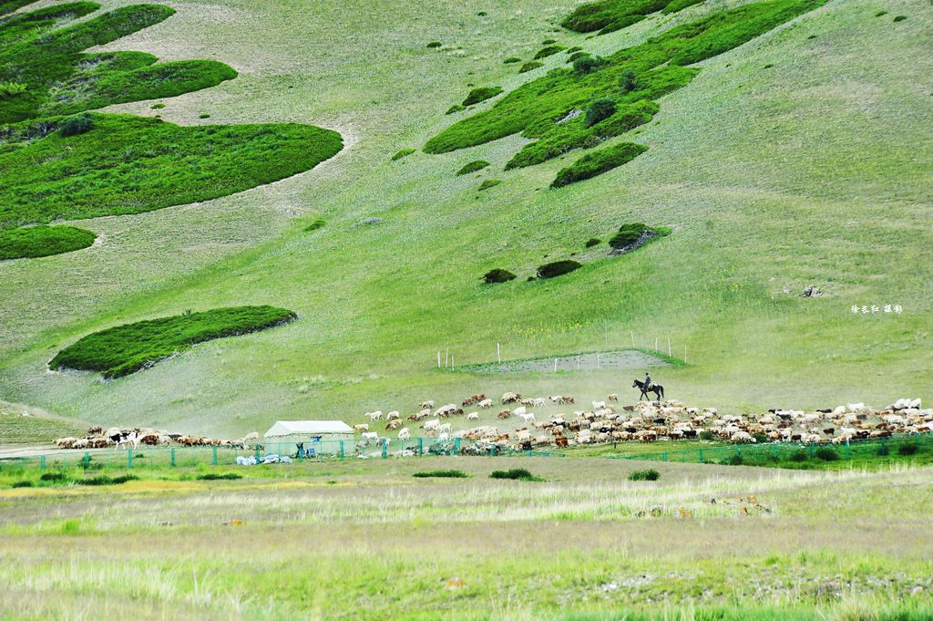_DSC3094_副本.jpg