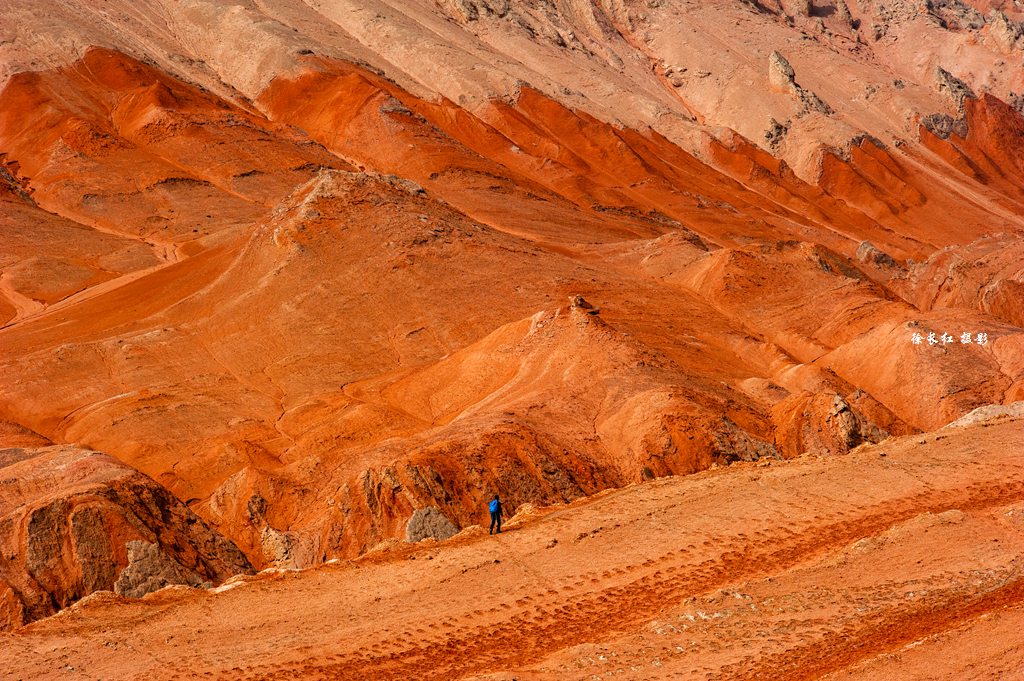 _DSC8436.jpg