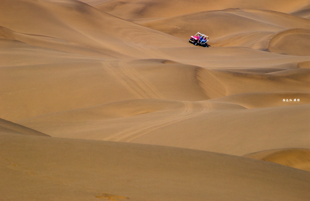 _DSC9153.jpg