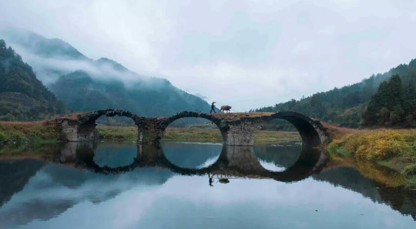 QQ截图20201115165345.jpg