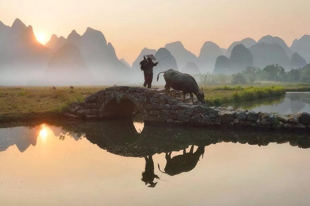 QQ截图20200326154629.jpg