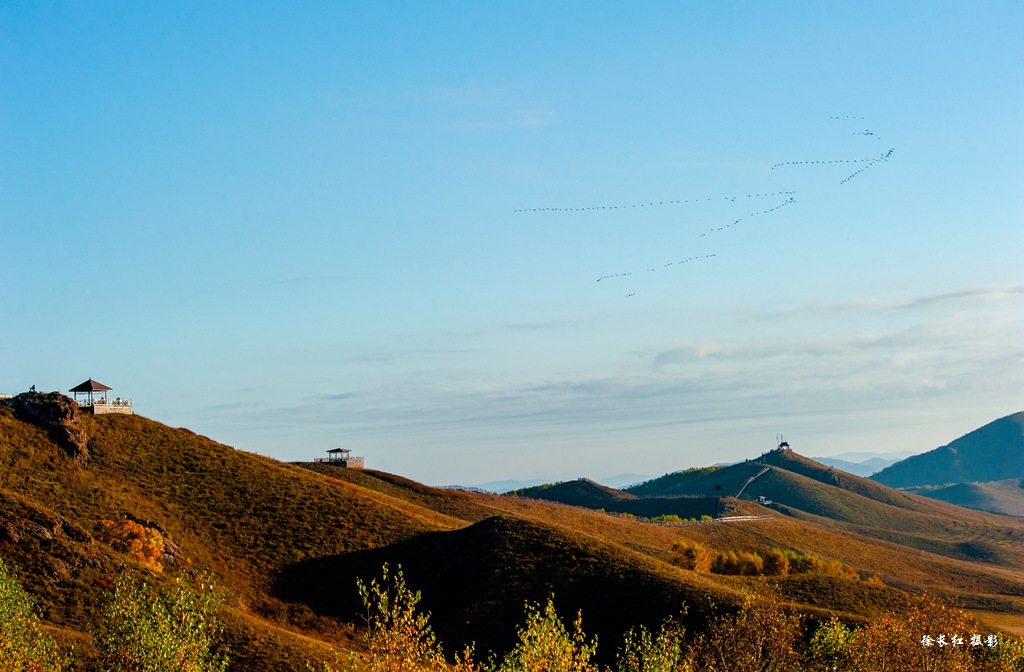 _DSC6570.jpg