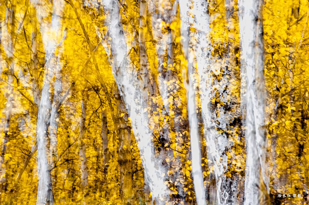 _DSC2538.jpg