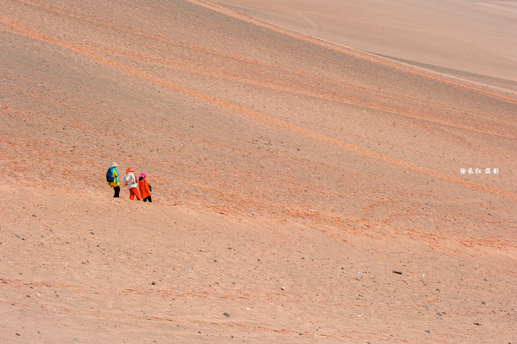 _DSC8503.jpg