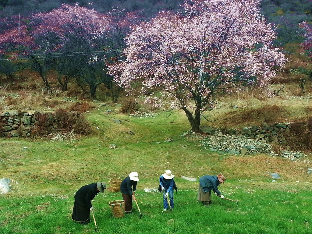 20140331_164535.jpg