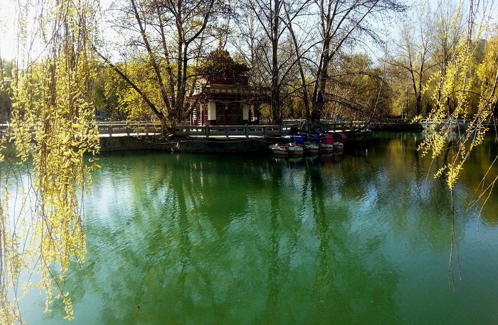 20140407_093448.jpg