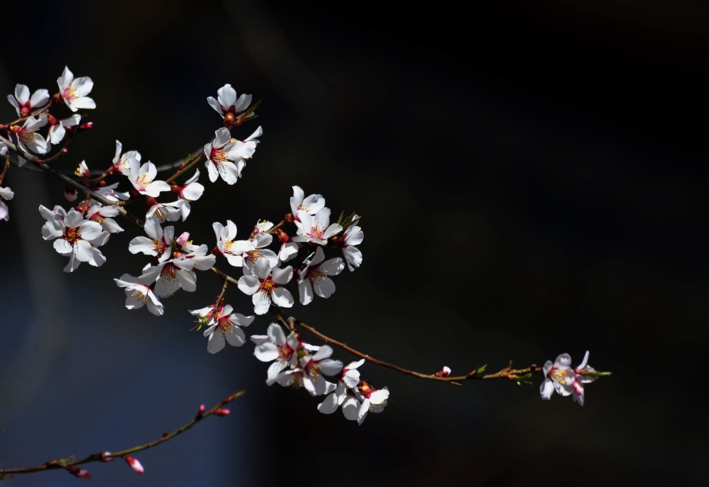 _DSC7234_副本.jpg