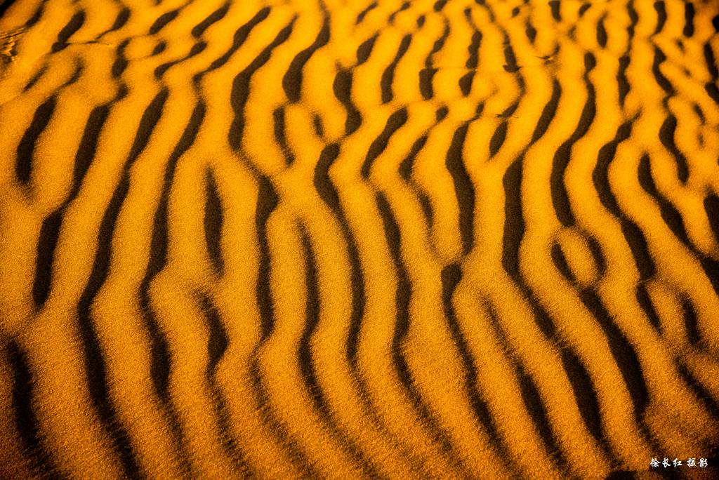 _DSC2041.jpg