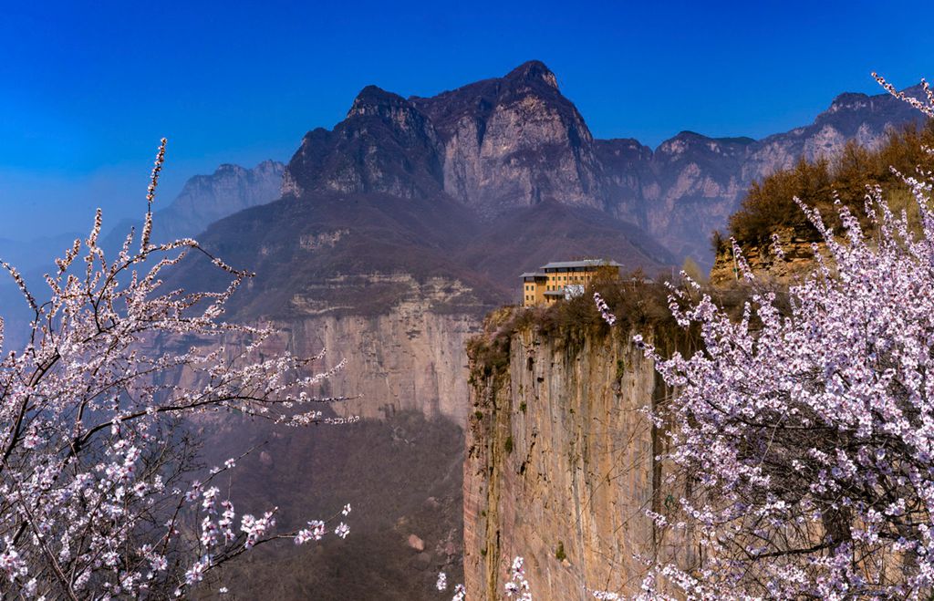 春花 (1).jpg 春花 (1).jpg