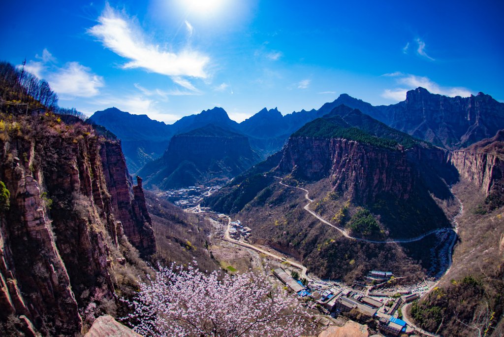 春花 (33).jpg