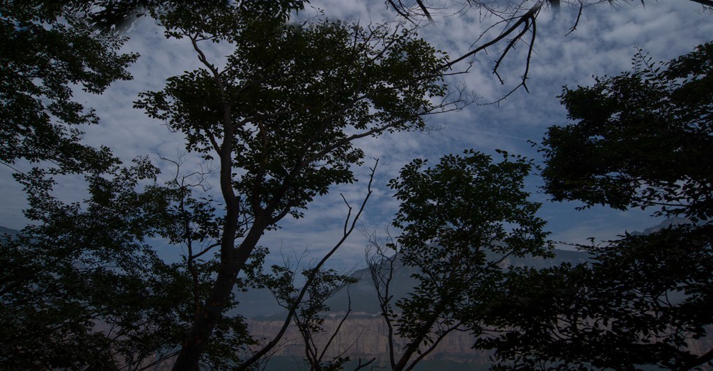 宝泉 (19).jpg