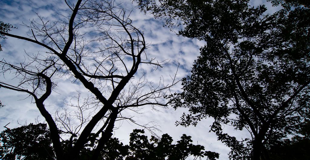 宝泉 (31).jpg