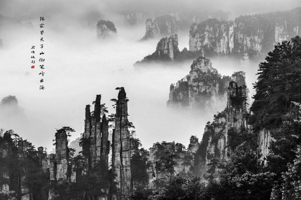 微信图片_20191028104837.jpg