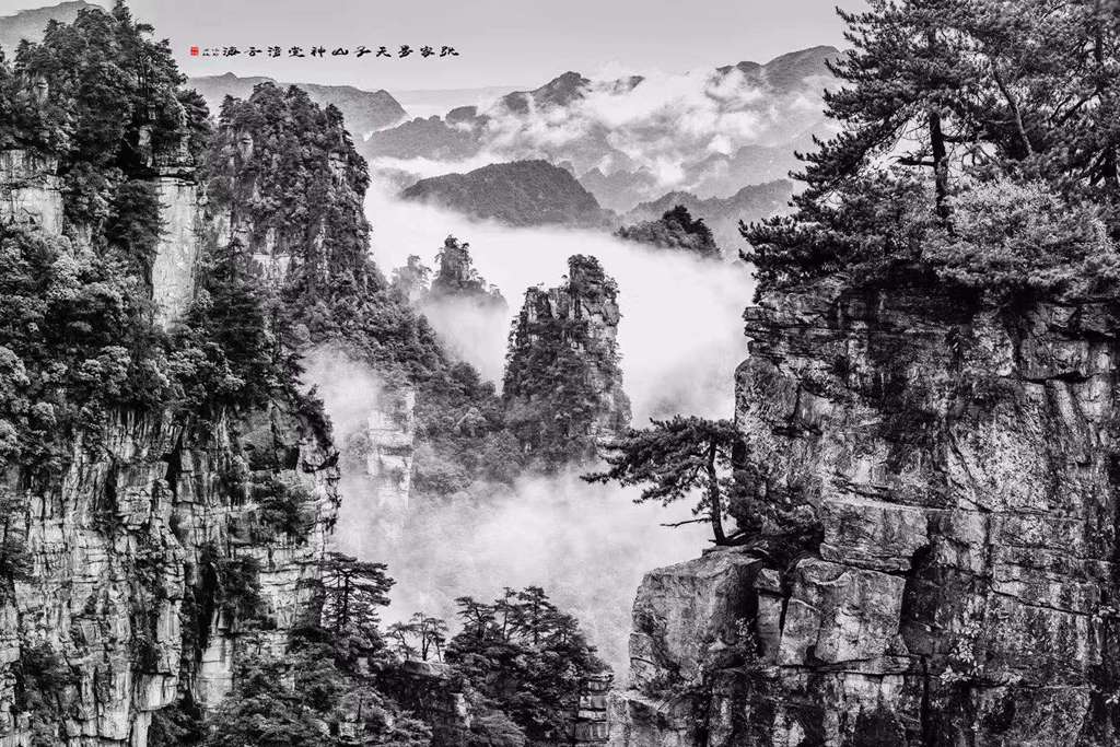 微信图片_20191028104852.jpg