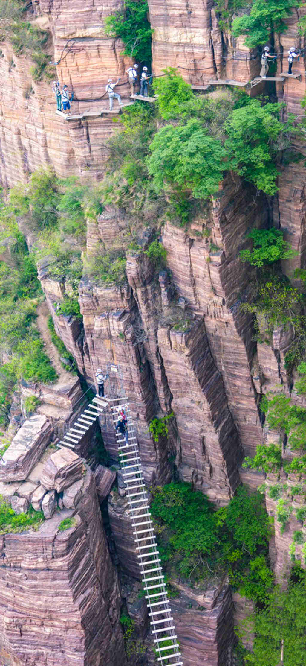 宝泉 (2).jpg
