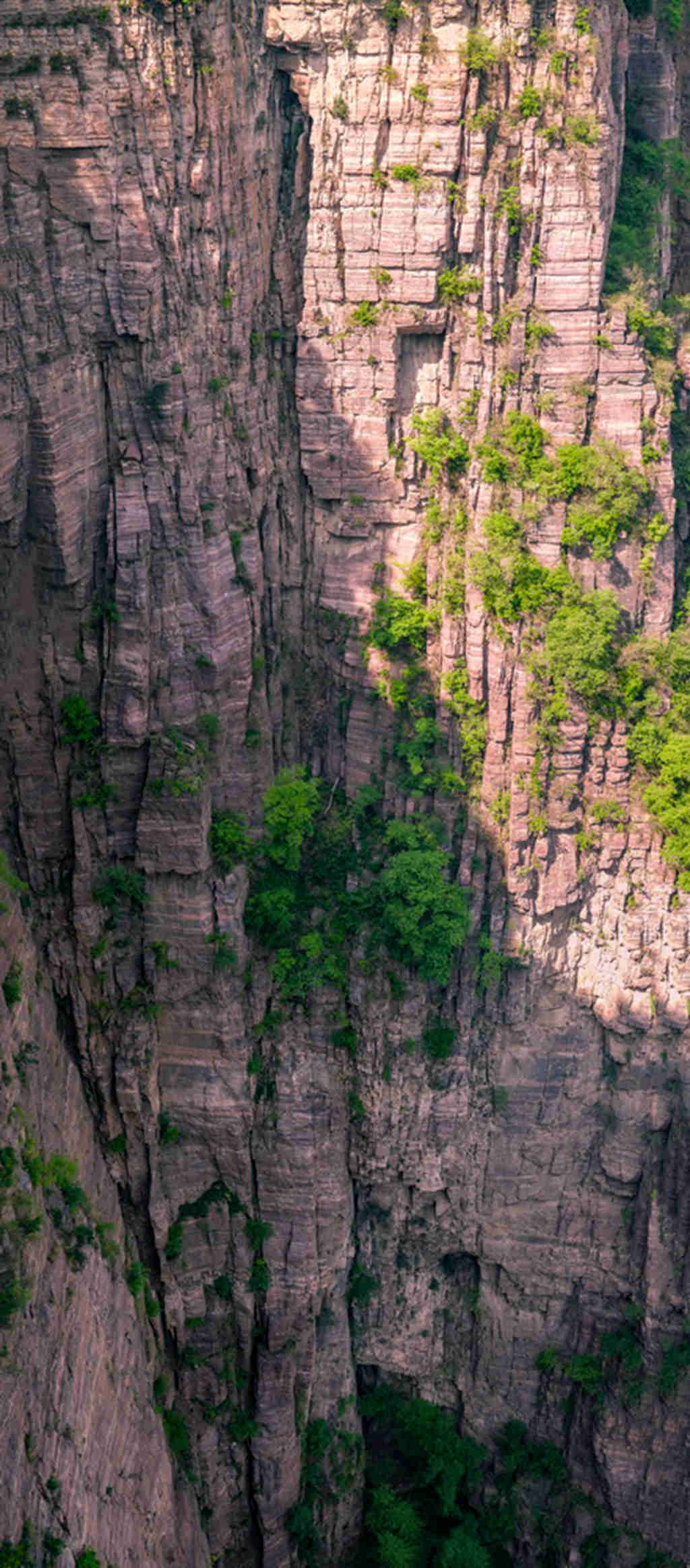 宝泉 (15).jpg