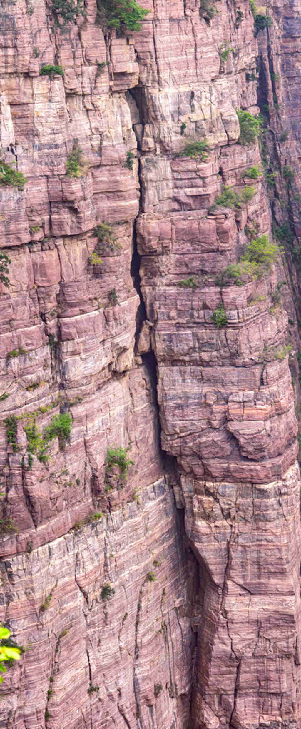 宝泉 (29).jpg