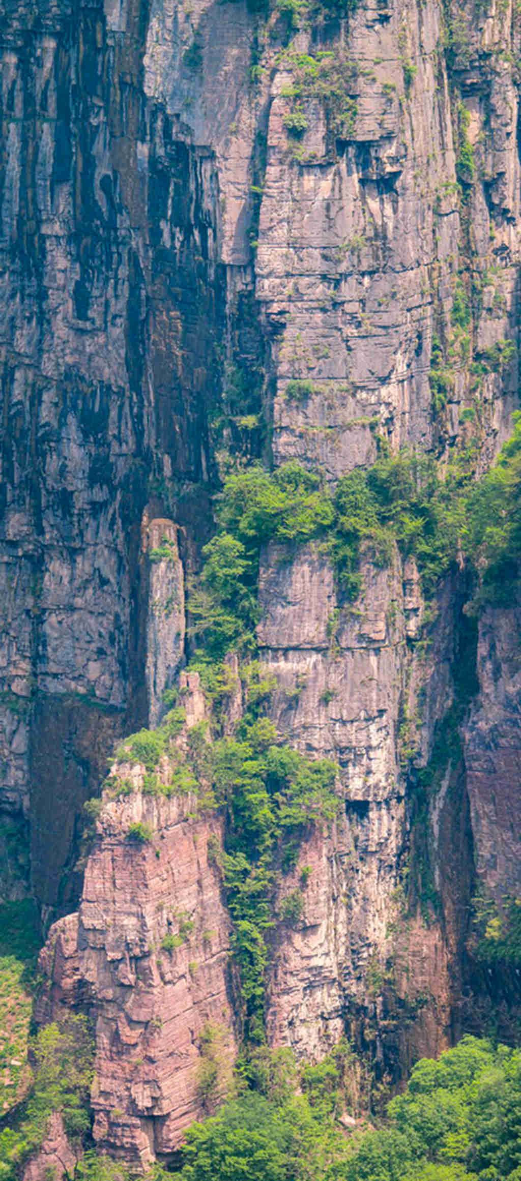 宝泉 (34).jpg