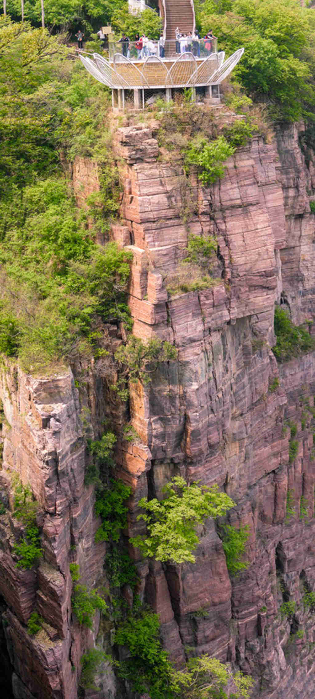 宝泉 (42).jpg
